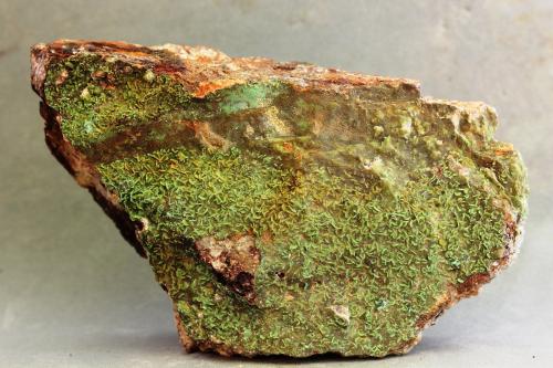 Metazeunerita<br />Permiso de Investigación Anabel, Cerro de las Minas, Mérida, Comarca Tierra de Mérida - Vegas Bajas, Badajoz, Extremadura, España<br />103x60z25 mm<br /> (Autor: Juan Espino)