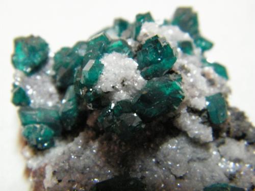 Dioptase on Calcite<br />Tsumeb Mine, Tsumeb, Otjikoto Region, Namibia<br />50x35mm<br /> (Author: Heimo Hellwig)