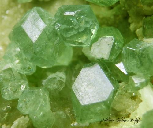 Andradita (variedad demantoide)<br />Labores Antetezambato, Antetezambato, Comuna Maherivaratra, Distrito Ambanja, Provincia Antsiranana, Madagascar<br />Encuadre de la fotografía 12 mm.<br /> (Autor: Rafael Galiana)