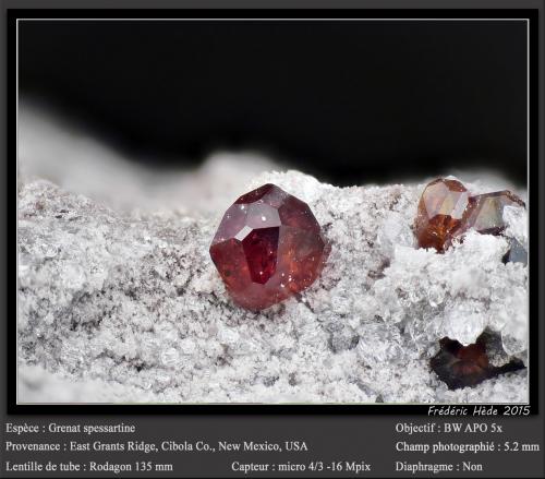 Spessartine (Garnet Group)<br />East Grants Ridge, Cibola County, New Mexico, USA<br />fov 5.2 mm<br /> (Author: ploum)