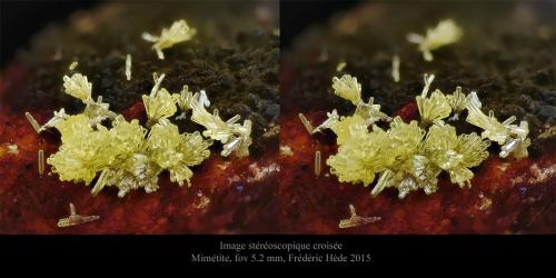 Mimetite<br />Mas Dieu, Mercoirol, Alès, Gard, Occitanie, France<br />fov 5.2 mm<br /> (Author: ploum)