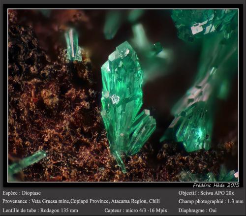 Dioptase<br />Veta Gruesa Mine, Garín Nuevo District, Copiapó Province, Atacama Region, Chile<br />fov 1.3 mm<br /> (Author: ploum)