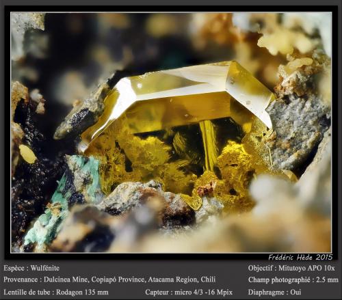 Wulfenite<br />Mina Dulcinea de Llampos, Cachiyuyo de Llampos, Provincia Copiapó, Región Atacama, Chile<br />fov 2.5 mm<br /> (Author: ploum)
