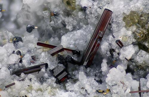 Schorl<br />Cantera Lohning (Cantera Lohninger), Valle Hüttwinkl, Valle Rauris, Distrito Zell am See, Hohe Tauern, Salzburgo/Salzburg, Austria<br />FOV 3,4 mm<br /> (Author: Gerhard Brandstetter)