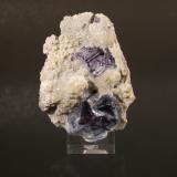 Fluorite<br />Yindu, Hexigten Banner (Kèshíkèténg Qí), Chifeng (Ulanhad), Inner Mongolia Autonomous Region, China<br />5cm X 7.5cm<br /> (Author: Richard Arseneau)