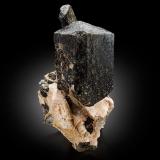 Fluoro-richterite<br />Wilberforce area, Haliburton County, Ontario, Canada<br />10 x 10 x 21.5 cm / main crystal: 10.6 cm<br /> (Author: MIM Museum)