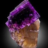 Fluorite<br />Annabel Lee Mine, Harris Creek Sub-District, Hardin County, Illinois, USA<br />6 x 5 x 8.5 cm / main crystal: 6.5 cm<br /> (Author: MIM Museum)