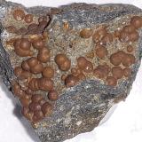 Siderite (variety sphärosiderite)Trentham Falls, Trentham, Hepburn Shire, Victoria, Australia2 x 1,5 cm (Author: Volkmar Stingl)