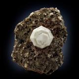 Leucite<br />Salita in discesa, Ariccia, Metropolitan City of Rome Capital, Lazio, Italy<br />7 x 5.5 x 5 cm / main crystal: 2.0 cm<br /> (Author: MIM Museum)