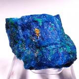 Gold, Shattuckite, Malachite<br />Khorixas area, Kunene Region, Namibia<br />47 mm x 39 x mm x 32 mm<br /> (Author: Don Lum)