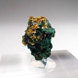 Gold, Malachite<br />Khorixas area, Kunene Region, Namibia<br />12 mm x 8 mm x 6mm<br /> (Author: Don Lum)