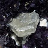 Quartz (variety amethyst) with CalciteDepartamento Artigas, Uruguay (Author: Joseph DOliveira)