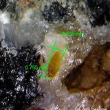 WulfenitaMina Torrent, Mont-Ras, Comarca Baix Empordà, Gerona / Girona, Cataluña / Catalunya, España0´75 x 0´27 mm. (Autor: Jesus Franquesa Baucells)