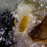 WulfenitaMina Torrent, Mont-Ras, Comarca Baix Empordà, Gerona / Girona, Cataluña / Catalunya, España0´75 x 0´27 mm. (Autor: Jesus Franquesa Baucells)