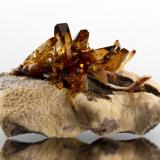 Barita [Baryte]<br />Elk Creek, Dalzell, Condado Meade, South Dakota, USA<br />16.5 x 13.5 x 9 cm / cristal principal: 8 cm<br /> (Autor: Museo MIM)