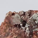 Quartz, Nordstrandite<br />Terlano (Terlan), Bolzano Province, Trentino-Alto Adige (Trentino-Südtirol), Italy<br />3 x 3 cm<br /> (Author: Volkmar Stingl)