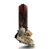 BrookiteThurdook (Thurdok), Zard Mountain, Ras Koh Mountains, Kharan District, Balochistan (Baluchistan), Pakistan6 x 3 x 12 cm / main crystal: 8.0 cm (Author: MIM Museum)