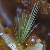 'Agardita'Clara Mine, Rankach Valley, Oberwolfach, Wolfach, Black Forest, Baden-Württemberg, Germany1.2 mm (Autor: Antonio Abril)