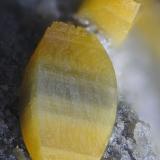 wulfenita<br />Minas del Barranco del Humo, Albuñuelas, Comarca Valle de Lecrín, Granada, Andalucía, España<br />4 mm<br /> (Autor: Antonio Abril)