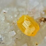 WulfenitaOld mine workings in Matagallar area, Coín, Comarca Valle del Guadalhorce, Málaga, Andalusia, Spain0.9 mm (Autor: Antonio Abril)