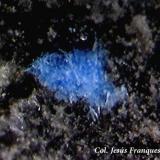 Cianotriquita.<br />Mina Maura (Mina San Miguel), Ribes de Freser, Comarca Ripollès, Gerona / Girona, Cataluña / Catalunya, España<br />1´25 x 0´98 mm.<br /> (Autor: Jesus Franquesa Baucells)
