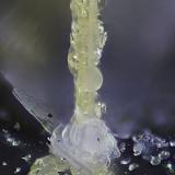 ThorikositaLavrion, Lavrion Mining District, Attikí (Attica) Prefecture, Greece0.8 mm (Autor: Antonio Abril)