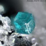BoleitaHilarion Mine, Hilarion area, Kamariza Mines, Agios Konstantinos, Lavrion Mining District, Attikí (Attica) Prefecture, Greece0.9 mm (Autor: Antonio Abril)