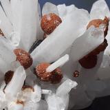 Quartz (variety Milky Quartz), Siderite, SphaleriteMina Stan Trg (Stan Terg, Stari Trg), Complejo Trep&#269;a, Valle Trep&#269;a, Kosovska Mitrovica, Distrito Kosovska Mitrovica, Kosovo5 x 3,5 cm (Author: Volkmar Stingl)
