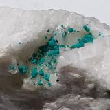 Cornwallite<br />Clara Mine, Rankach Valley, Oberwolfach, Wolfach, Black Forest, Baden-Württemberg, Germany<br />FoV appr. 2 x 1,5 cm<br /> (Author: Volkmar Stingl)