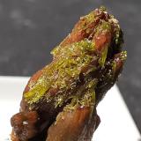 Descloizite, Pyromorphite<br />Valaury Mine, Plan-de-la-Tour, Draguignan, Var, Provence-Alpes-Côte d'Azur, France<br />2,5 x 1 cm<br /> (Author: Volkmar Stingl)