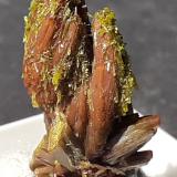 Descloizite, Pyromorphite<br />Valaury Mine, Plan-de-la-Tour, Draguignan, Var, Provence-Alpes-Côte d'Azur, France<br />2,5 x 1 cm<br /> (Author: Volkmar Stingl)