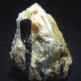 Turmalina (Grupo)<br />Afloramiento de pegmatitas, Illa Encalladora, Cap de Creus, Cadaqués, Comarca Alt Empordà, Gerona / Girona, Cataluña / Catalunya, España<br />40x30 mm.<br /> (Autor: Jesus Franquesa Baucells)