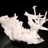 Aragonite (variety flos ferri)<br />Elafos Mines, Elafos, Lavrion Mining District, Lavreotiki, Attikí (Attica) Prefecture, Greece<br />10.3 x 8.0 x 4.0 cm<br /> (Author: Michael Shaw)