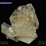 alpha  formate CalciumHallazgo en Lago Alkali, Condado Lake, Oregon, USA (Author: Roger Warin)