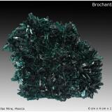 Brochantite<br />Milpillas Mine, Cuitaca, Municipio Santa Cruz, Sonora, Mexico<br />6 cm x 4 cm x 1 cm<br /> (Author: silvia)