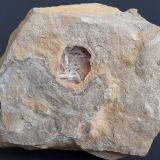 Aragonite<br />Grissianer Graben, Grissiano, Nalles (Nals), Autonomous Province South Tyrol, Trentino-Alto Adige (Trentino-Südtirol), Italy<br />7 x 6,5 cm<br /> (Author: Volkmar Stingl)