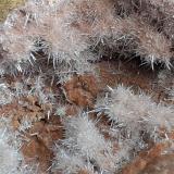 Aragonite<br />Grissianer Graben, Grissiano, Nalles (Nals), Autonomous Province South Tyrol, Trentino-Alto Adige (Trentino-Südtirol), Italy<br />7 x 6 cm<br /> (Author: Volkmar Stingl)