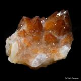 Cuarzo.<br />Can Gat, Viladrau, Comarca Osona, Gerona / Girona, Cataluña / Catalunya, España<br />44x33 mm.<br /> (Autor: Jesus Franquesa Baucells)