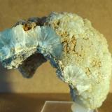 PrehnitaCantera Colada de Ávila, Lebrija, Comarca Marismas del Bajo Guadalquivir, Sevilla, Andalucía, España5 x 5 cm. (Autor: Felipe Abolafia)