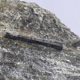 Tourmaline (variety Schorl)<br />Finstertal, Kühtai, Silz, Imst District, North Tyrol, Tyrol/Tirol, Austria<br />9 x 8 cm<br /> (Author: Volkmar Stingl)