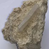 Celestine<br />Celestine deposit, Hurchillo floodgates, Tajo-Segura irrigation system, Arneva, Orihuela, Comarca Vega Baja del Segura, Alicante / Alacant, Valencian Community / Comunitat Valenciana, Spain<br />6 x 4,5 cm<br /> (Author: Volkmar Stingl)