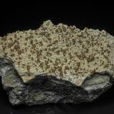 Rhodochrosite, Fluorapatite, PyriteMina Foote Lithium Co. (Mina Foote), Distrito Kings Mountain, Condado Cleveland, North Carolina, USA7.8 x 4.0 cm (Author: am mizunaka)