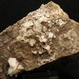 Fluorita<br />Cantera Fuentecilla, Cabezo del Polovar, Villena, Comarca Alto Vinalopó, Alicante / Alacant, Comunidad Valenciana / Comunitat Valenciana, España<br />10 x 6 cm<br /> (Autor: Pedro Antonio)