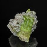 Tourmaline (Group), 'lepidolite'Arqueana pegmatite, Piauí Valley, Taquaral, Itinga, Vale do Jequitinhonha, Minas Gerais, Brazil4.1 x 4.0 cm (Author: am mizunaka)