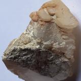 Calcite<br />Lead mines, Obernberg am Brenner, Innsbruck-Land District, Tyrol/Tirol, Austria<br />3,5 x 2,5 cm<br /> (Author: Volkmar Stingl)