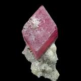 Rhodochrosite, QuartzGrupo Mina Sunnyside (Mina American Tunnel), Pico Bonita, Gladstone, Distrito Eureka, Condado San Juan, Colorado, USA3.2 x 1.4 cm (Author: am mizunaka)