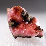 Rhodochrosite<br />N'Chwaning I Mine, N'Chwaning mining area, Kuruman, Kalahari manganese field (KMF), Northern Cape Province, South Africa<br />31 mm x 20 mm<br /> (Author: Don Lum)