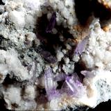Quartz (variety amethyst)<br />Osilo, Sassari Province, Sardinia/Sardegna, Italy<br />Up to 15mm<br /> (Author: Dany Mabillard)