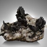 Epidote on Calcite<br />Pampa Blanca, Ticrapo District, Castrovirreyna Province, Huancavelica Department, Peru<br />24 x 19 x 12 cm / main crystal: 6.4 cm<br /> (Author: MIM Museum)