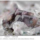 Titanite<br />Celliers, La Lauzière Massif, Saint-Jean-de-Maurienne, Savoie, Auvergne-Rhône-Alpes, France<br />fov 6.8 mm<br /> (Author: ploum)